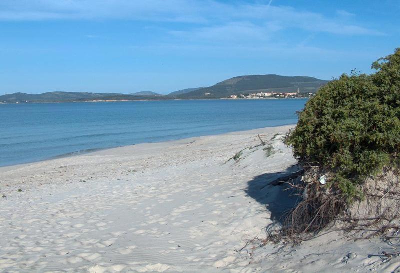 Appartamento A Pochi Passi Dalla Spiaggia Alghero Ngoại thất bức ảnh